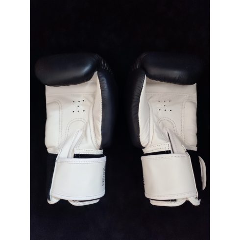 STREET FIGHTER STYLE 