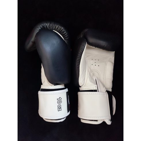 STREET FIGHTER STYLE 