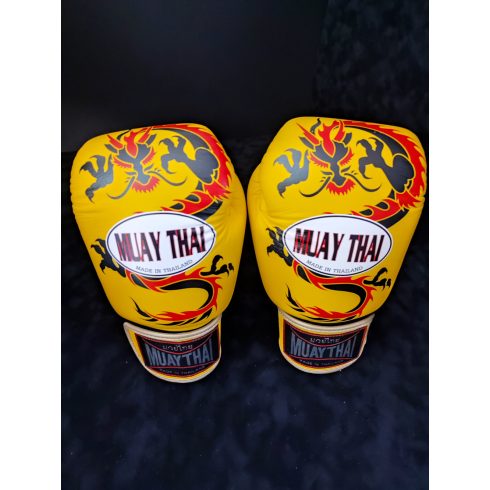 MUAY THAI DRAGON